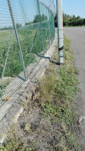 IMG_20160827_165749 - web