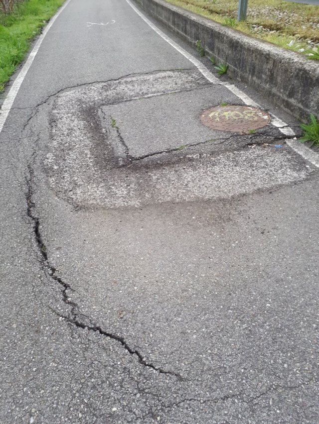 Richiesta sistemazione pista ciclabile via Milano