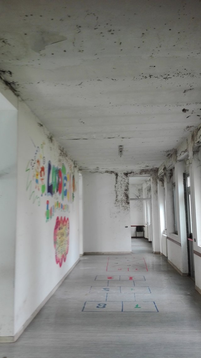 Le foto che mostrano lo stato di degrado della ex scuola elementare