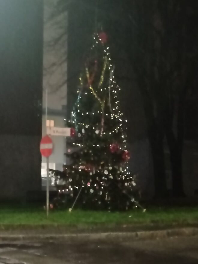 Addobbato l’Albero di Natale